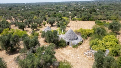 /international/it/ceglie-messapica-apulia-310109642466/