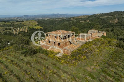 /international/it/scansano-tuscany-310102293976/