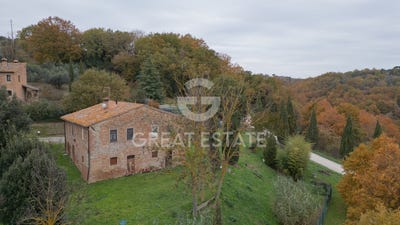 /international/it/citta-della-pieve-umbria-310105152050/