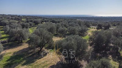 /international/it/manduria-apulia-310101230426/?lang=es