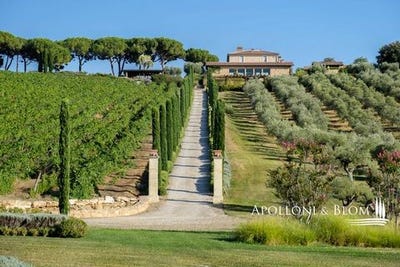 /international/it/sp-marsiliana-massa-marittima-tuscany-310101709696/