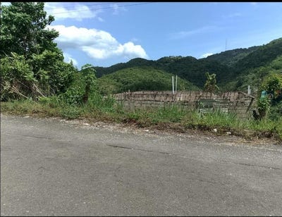 /international/jm/woodland-heights-red-hil-lot-16-red-hills-st-andrew-parish-310107790416/