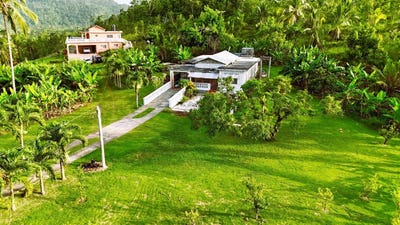 /international/jm/67-68-new-forest-duanvale-trelawny-parish-310108702561/?lang=id
