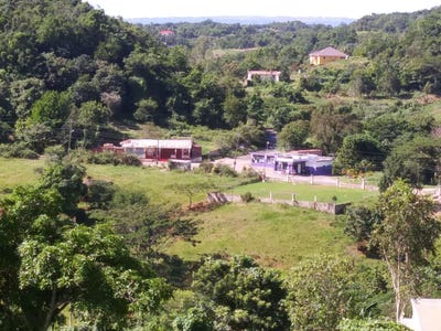 /international/jm/cedars-mocho-mocho-clarendon-310101247441/?lang=zh-tw
