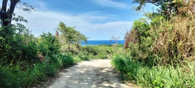 /international/jm/part-of-cranbrook-pen-laughlands-st-ann-parish-310106136560/