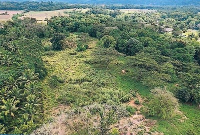 /international/jm/knollis-bog-walk-st-ca-knollis-saint-catherine-parish-310106335009/