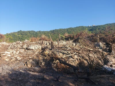 /international/jm/henzel-terrace-red-hills-st-andrew-parish-310107525843/