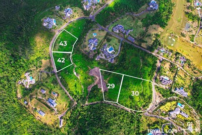 /international/jm/cwrp-vg-tryall-estate-hanover-parish-310106793985/