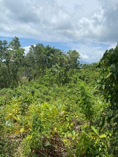 /international/jm/59-fraser-crescent-coopers-unit-lot-red-hills-st-andrew-parish-310101207071/?lang=id
