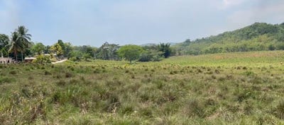 /international/jm/mint-estate-grange-hill-grange-hill-westmoreland-parish-310108457840/