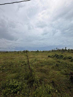 /international/jm/spring-park-spring-park-meadows-st-elizabeth-parish-310108645734/?lang=fr