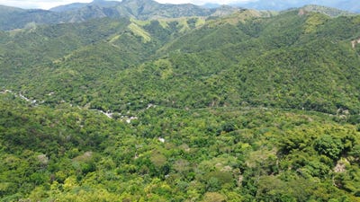 /international/jm/wamba-farm-yallahs-yallahs-saint-thomas-parish-310107945725/