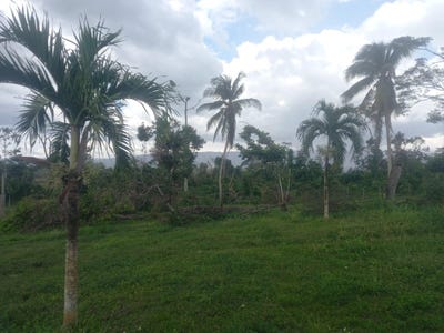 /international/jm/santa-cruz-park-st-eliz-lot-1-black-river-st-elizabeth-parish-310106135954/
