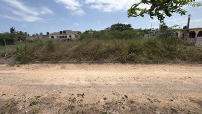 /international/jm/hartwell-gardens-lot-44-chateau-clarendon-310108456882/
