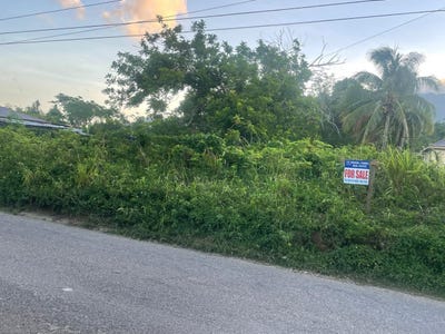 /international/jm/82-83-phantilands-goshen-st-elizabeth-parish-310107812527/