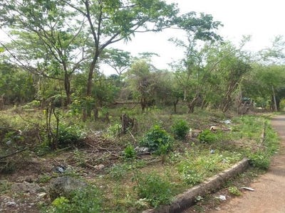 /international/jm/white-hall-block-7-whitehall-westmoreland-parish-310100936311/?lang=pt