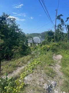 /international/jm/7-huntley-browns-town-st-ann-parish-310106712188/