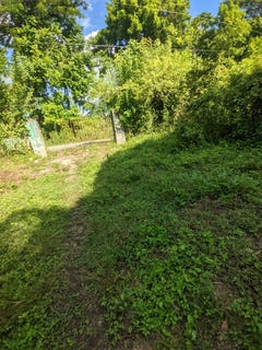 /international/jm/oxford-estate-brimmer-ha-free-hill-st-mary-parish-310107978032/