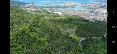 /international/jm/ramble-hill-lot-2-bogue-st-james-parish-310108135221/