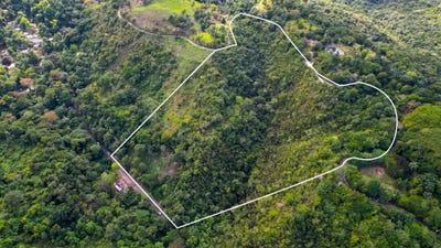 /international/jm/cqgm-rc-st-ann-s-bay-st-ann-parish-310106709761/