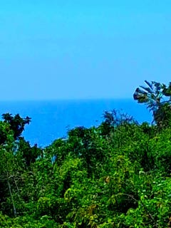 /international/jm/black-top-road-negril-westmoreland-parish-310106136011/