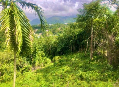/international/jm/35hr-2x-kingston-9-st-andrew-parish-310106045307/