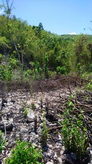 /international/jm/blue-mountain-road-albio-unit-block-a-yallahs-saint-thomas-parish-310107443835/