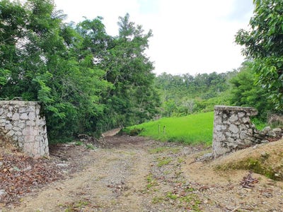 /international/jm/lot-7-golden-spring-estates-lime-hall-st-ann-parish-310100988135/?lang=en