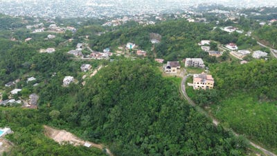 /international/jm/lot-40-marverly-mountain-red-hills-st-andrew-parish-310107834178/