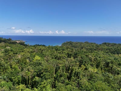 /international/jm/nonsuch-to-port-antonio-rd-san-san-portland-parish-310105419602/