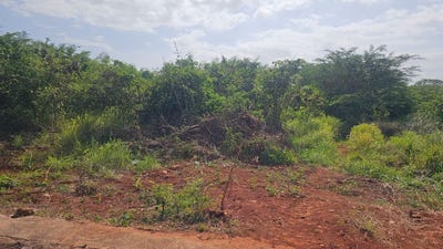 /international/jm/116a-st-matthews-way-green-acr-green-acres-st-catherine-310108554113/