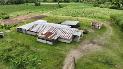 /international/jm/trout-hall-estate-trout-trout-hall-clarendon-310107813257/