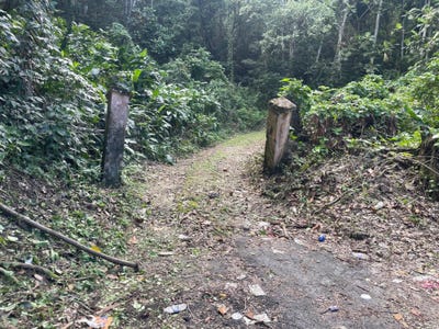 /international/jm/51-lime-hall-content-lime-hall-st-ann-parish-310105986402/