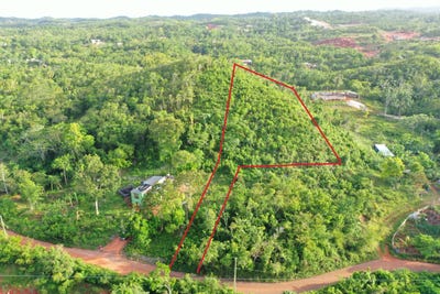 /international/jm/land-part-of-farm-windsor-forest-manchester-parish-310108926051/?lang=fr