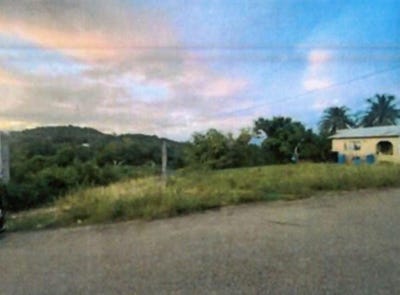 /international/jm/smoothland-st-elizabeth-leeds-st-elizabeth-parish-310108456881/