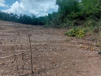 /international/jm/luana-black-river-po-st-black-river-st-elizabeth-parish-310107644507/