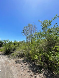 /international/jm/sevens-plantation-may-pen-clarendon-310108135164/