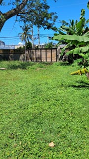 /international/jm/ocho-rios-st-ann-unit-9-marvins-park-st-ann-parish-310107045081/