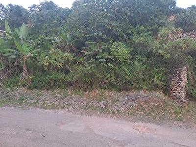 /international/jm/vantage-view-estate-red-hills-st-andrew-parish-310108786774/