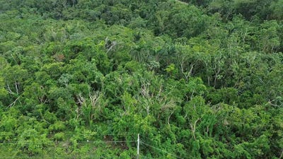 /international/jm/land-part-of-upton-ocho-rios-st-ann-parish-310106335153/
