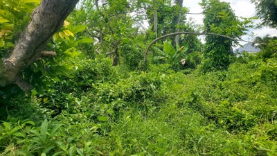 Land for Sale in Westmoreland - realtor.com