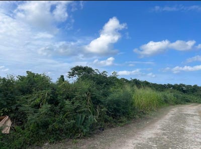 /international/jm/seafield-salt-marsh-falmouth-trelawny-parish-310104595480/