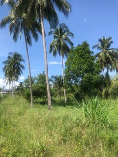 /international/jm/5xc3-qvg-charlemont-linstead-jamaica-ewarton-saint-catherine-parish-310106391618/