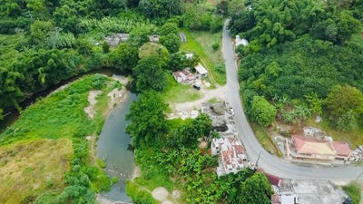 /international/jm/borobridge-borobridge-st-ann-parish-310100457954/
