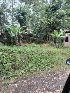 /international/jm/ulster-spring-ulster-spring-trelawny-parish-310107365367/?lang=id