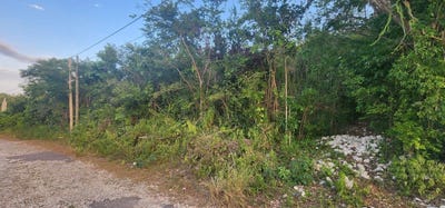 /international/jm/belgrade-avenue-montego-bay-st-james-parish-310101247385/?lang=en