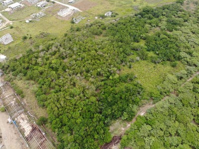 /international/jm/farm-may-pen-clarendon-310108623339/