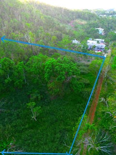 /international/jm/wilberforce-browns-town-st-ann-parish-310106713227/
