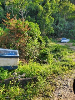 /international/jm/wilderness-oracabessa-s-unit-11-oracabessa-st-mary-parish-310106578175/