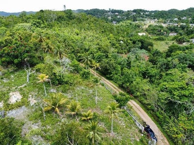/international/jm/summer-hill-browns-town-st-ann-parish-310099311458/